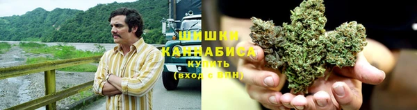 мескалин Богданович