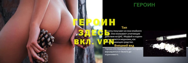 spice Богородск