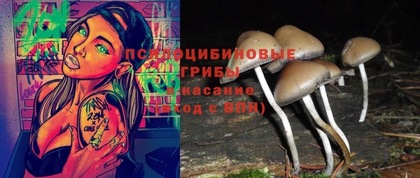мескалин Богданович
