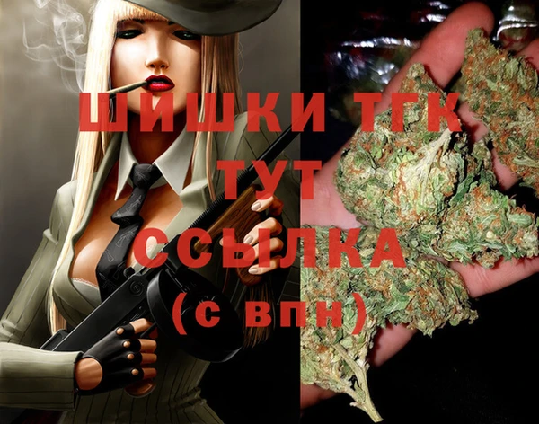 дмт Тында