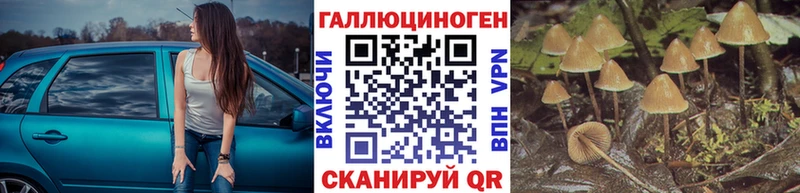 Псилоцибиновые грибы Psilocybe  Наволоки 